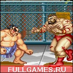 Скриншот игры Street Fighter 2